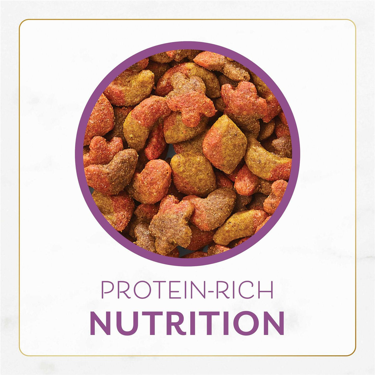 Dry Cat Food B731029