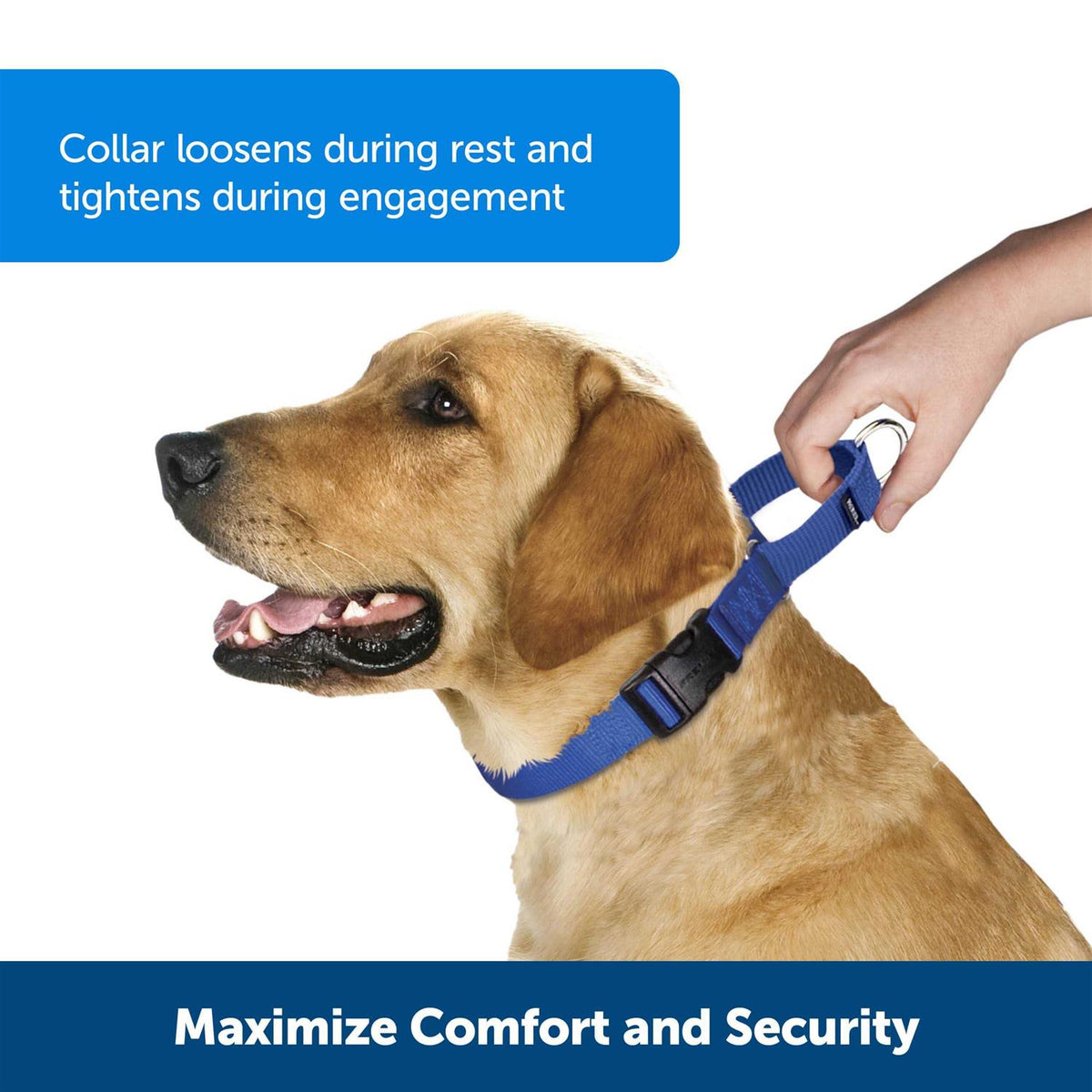 Martingale Collar R3819