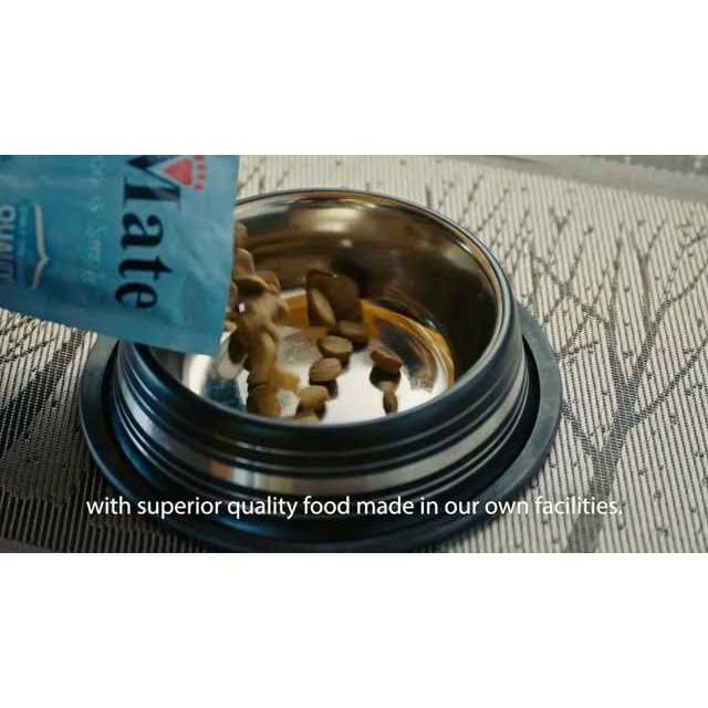Large Breed Dry Dog Food D9293
