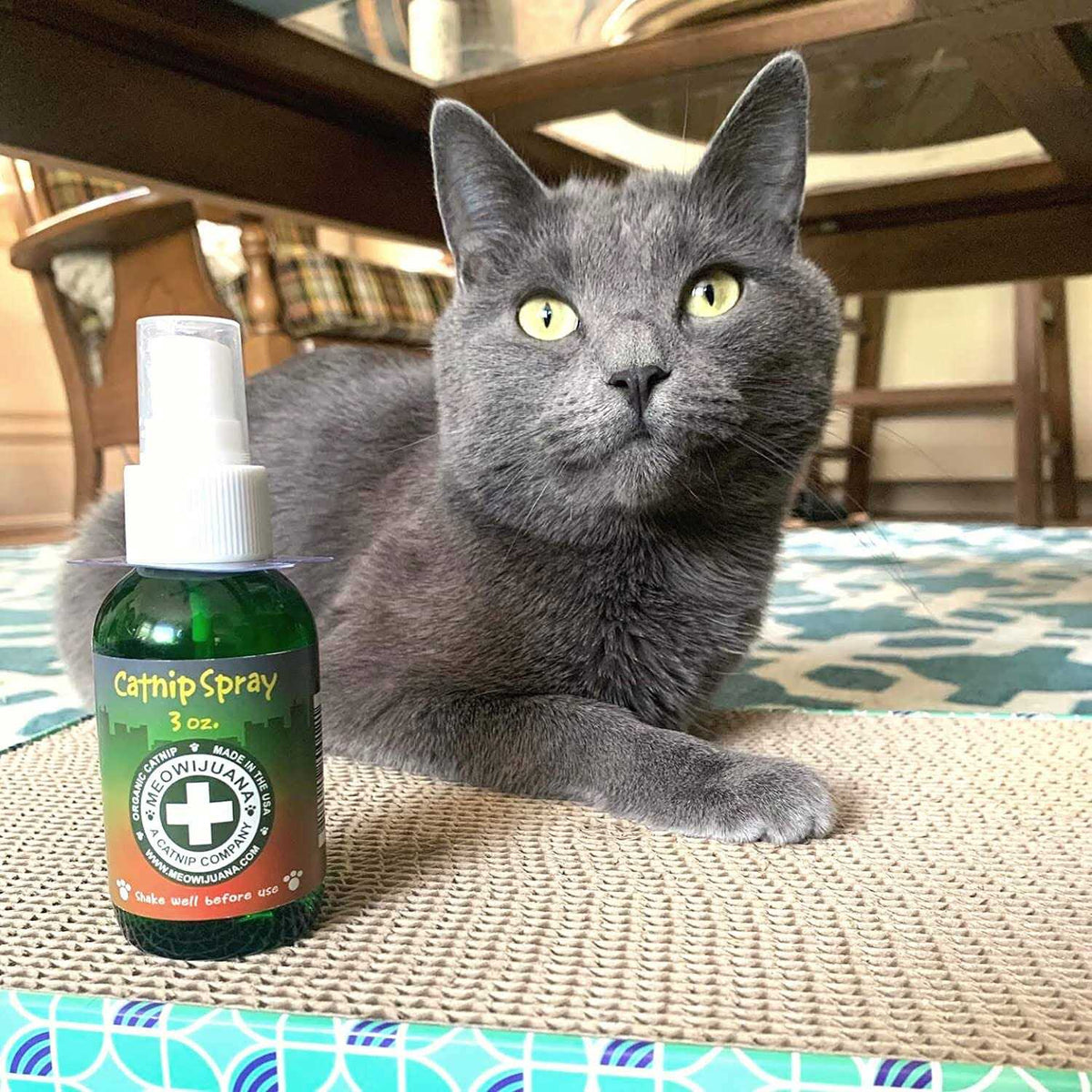 Catnip Spray P272195