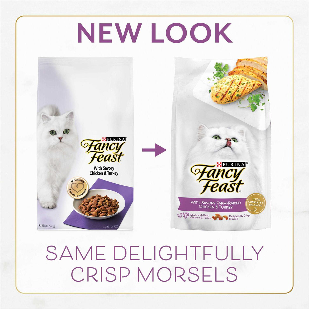 Dry Cat Food B731029