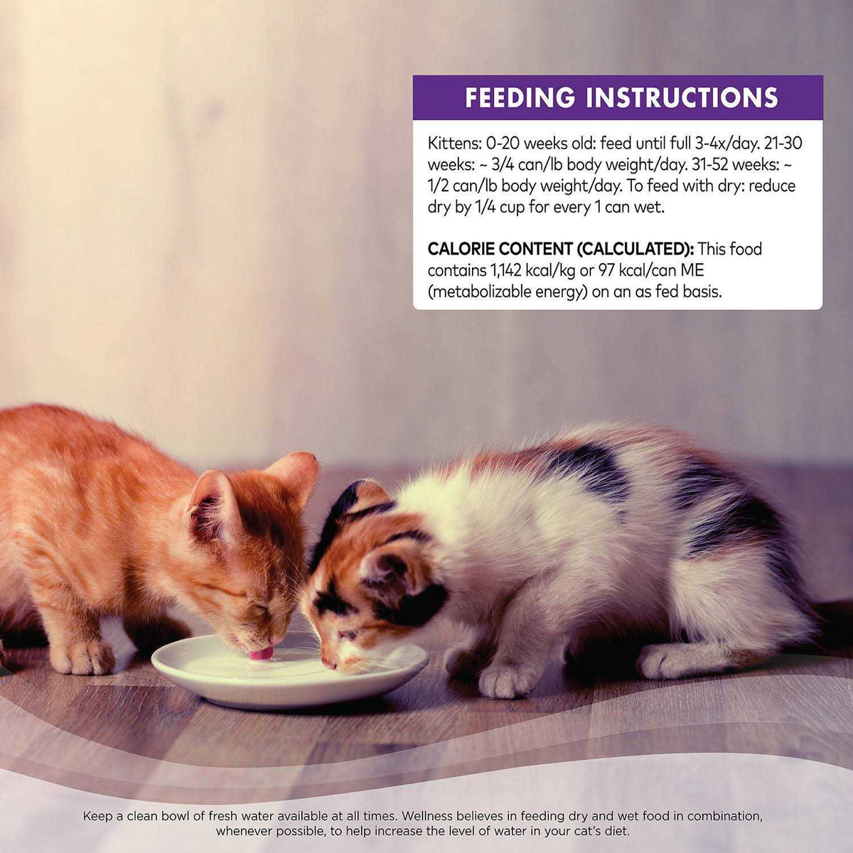 Cat Food O449703