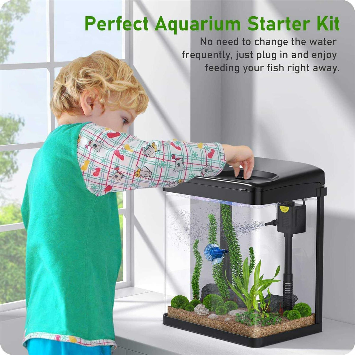 2 Gallon Glass Aquarium with Filter and Light U752621