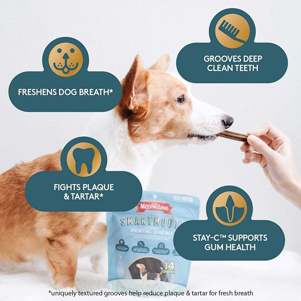 Dental Chews for Dogs O19193