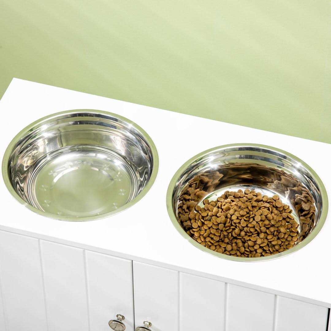 Large Elevated Dog Bowls with Storage Cabinet Y686