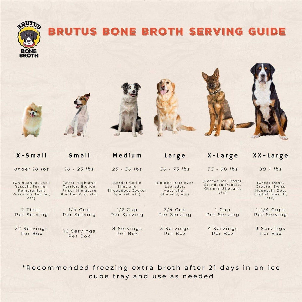 Chicken Bone Broth P761