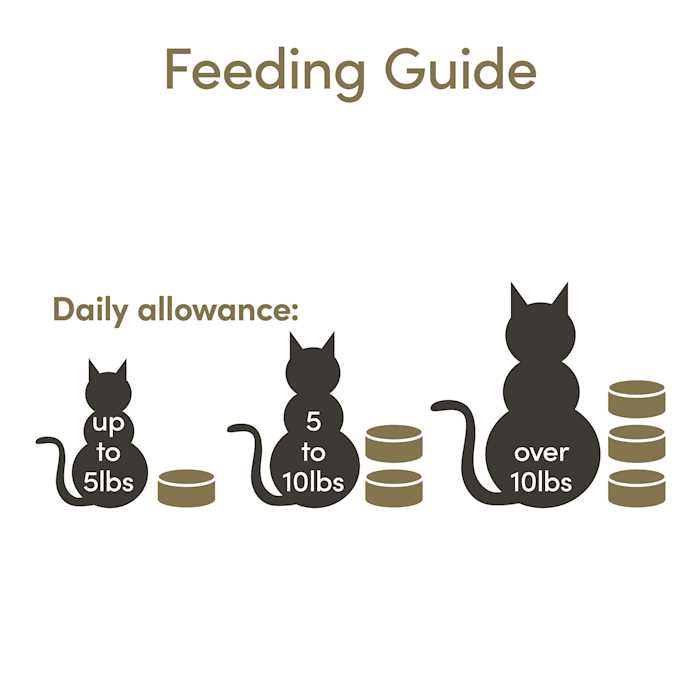 Cat Wet Food in Broth Variety Pack D3572