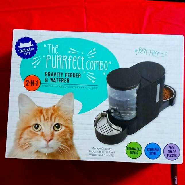 Black Cat Feeder F827