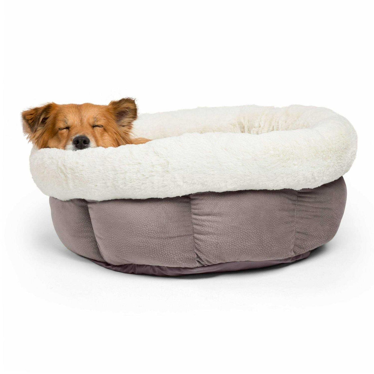 Dog Bed W18076