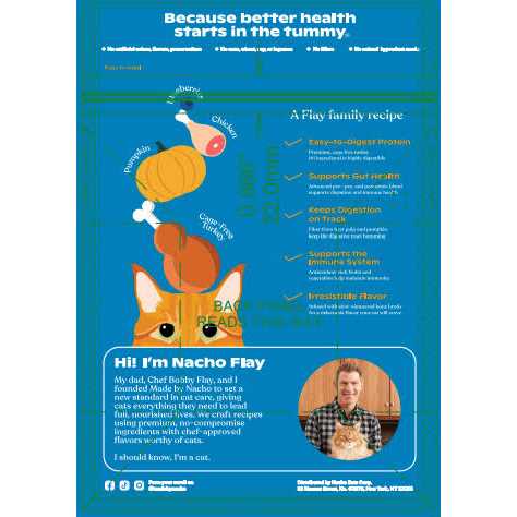 Cage-Free Turkey & Pumpkin Recipe Dry Cat Food K585812