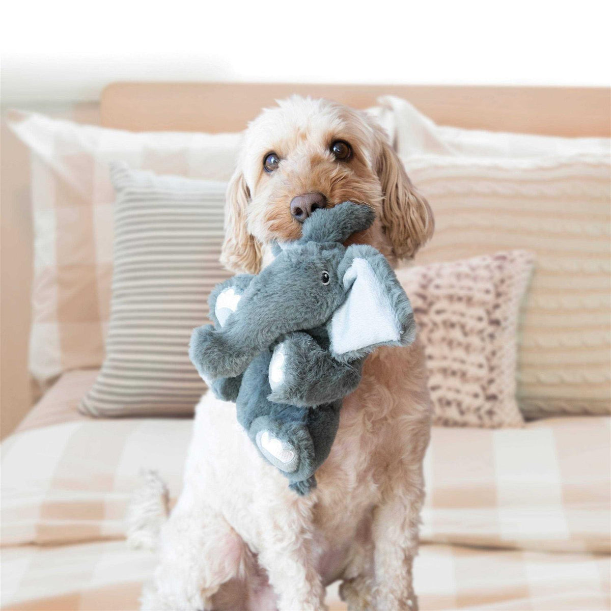 Bear Dog Toy O871