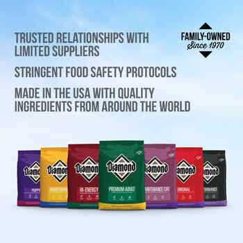 Adult Dog Food X5822