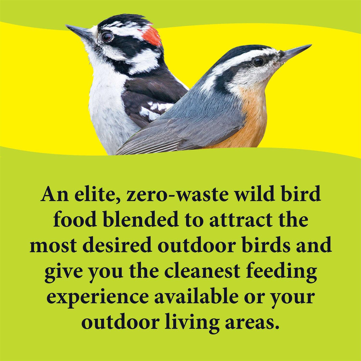 Deck Porch Patio Blend Wild Bird Food Y5115