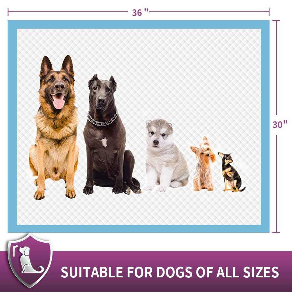 Extra Large Dog Pee Pads Super Absorbent & Leak-Proof K34856