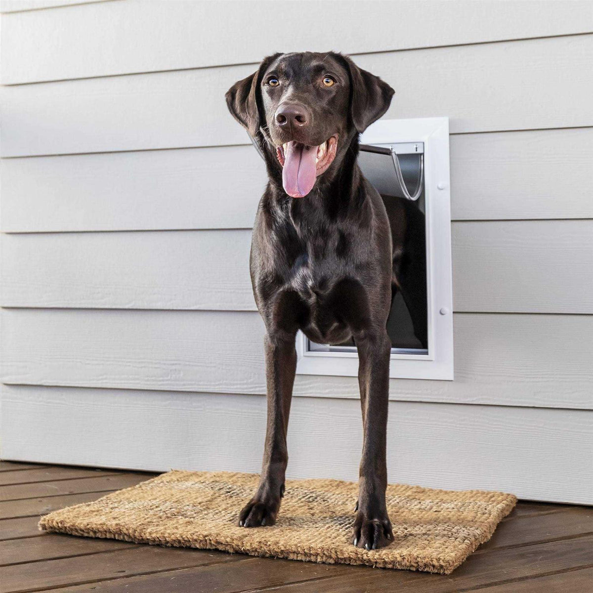 Aluminum Pet Door Y8005