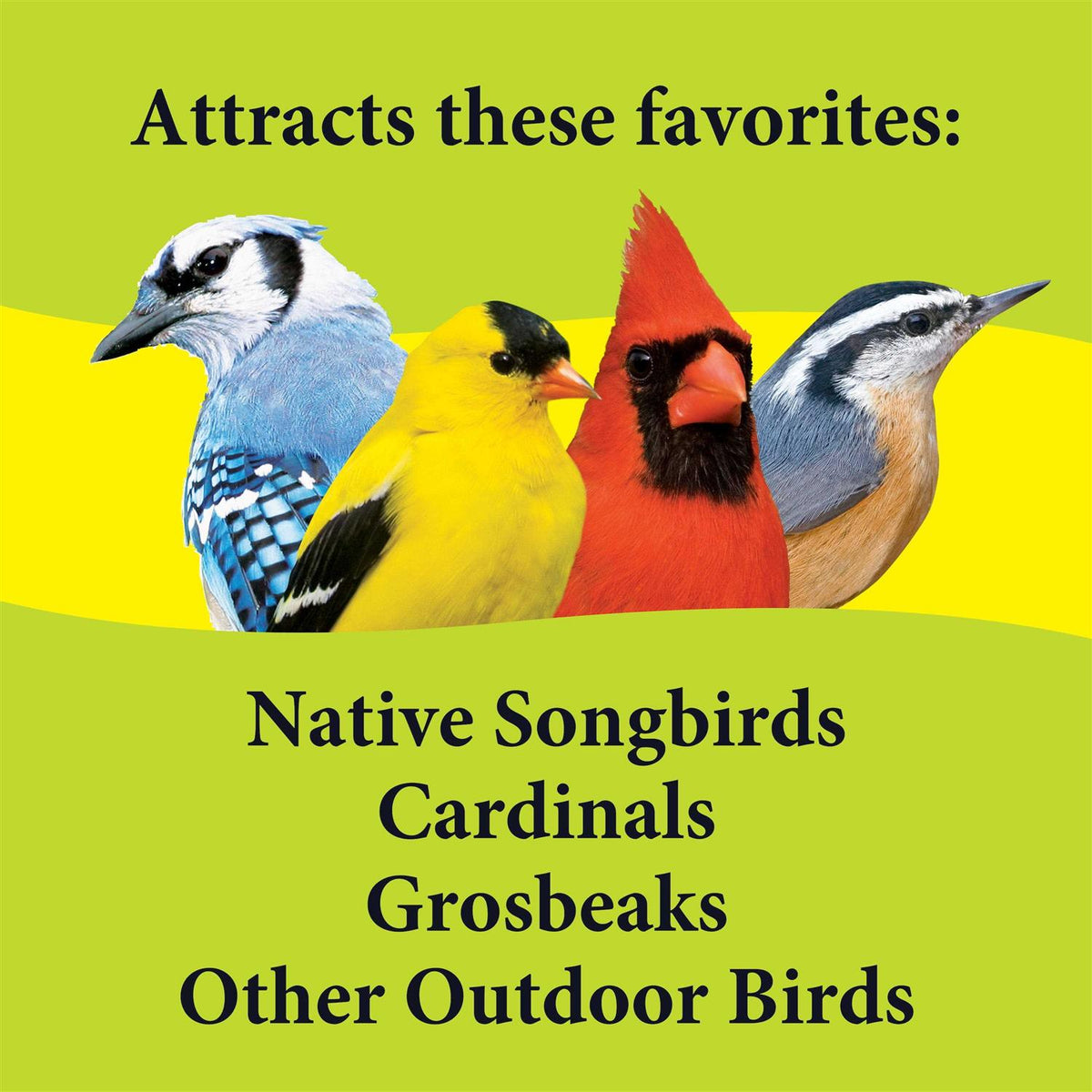 Deck Porch Patio Blend Wild Bird Food Y5115
