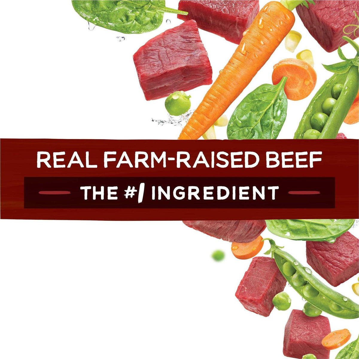 Dog Food With Beef I78573