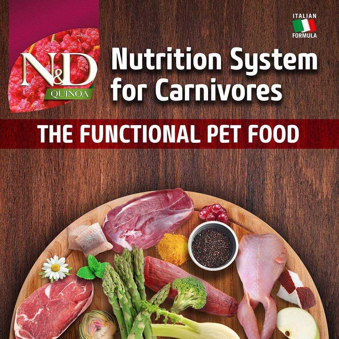 Lamb Dry Cat Food W5704